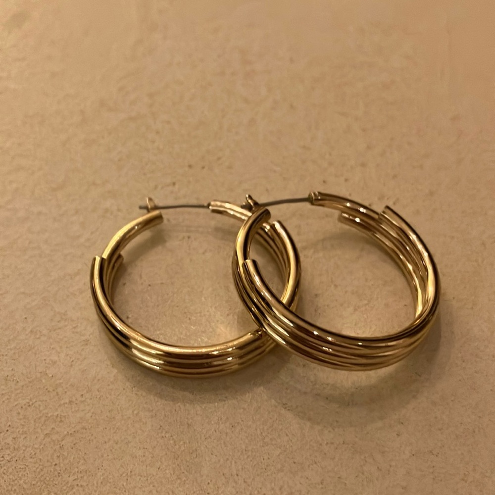 Elegant Hoop Earings
